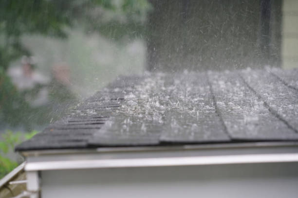 Best Roof Maintenance and Cleaning  in Red Bay, AL